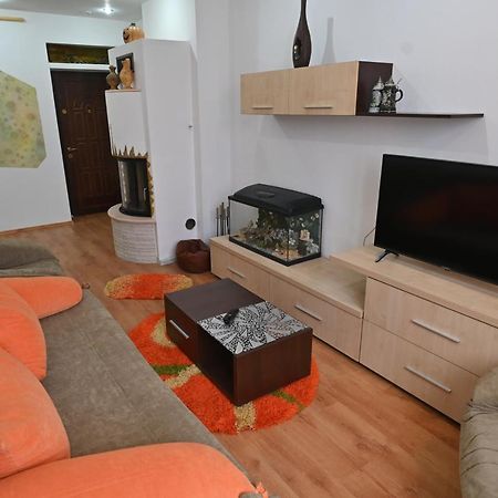 Apartament Camelia Petrosani Exterior photo