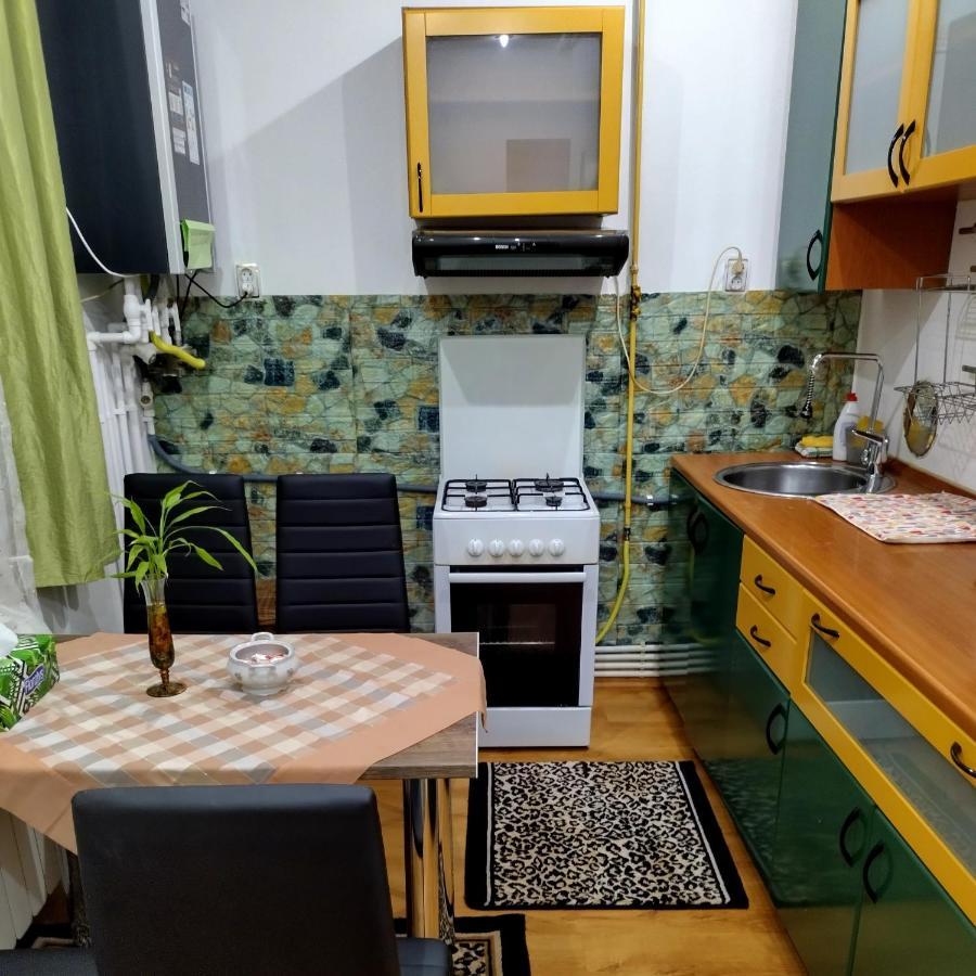 Apartament Camelia Petrosani Exterior photo