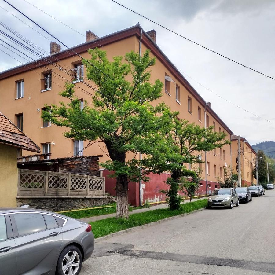 Apartament Camelia Petrosani Exterior photo