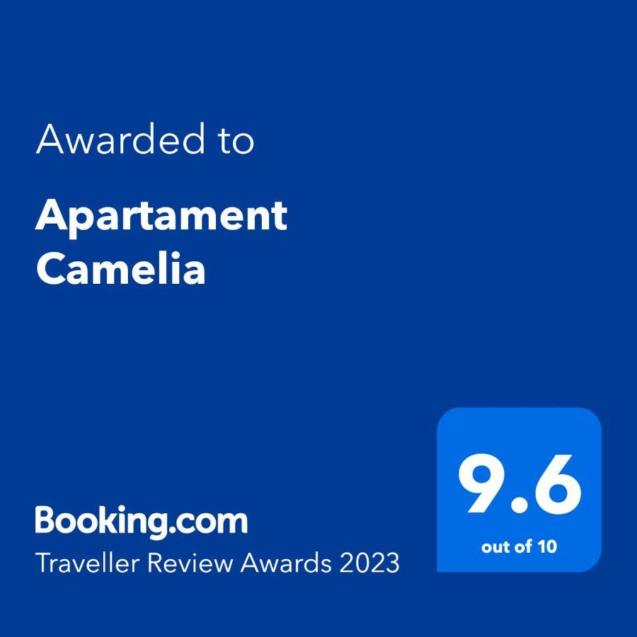 Apartament Camelia Petrosani Exterior photo